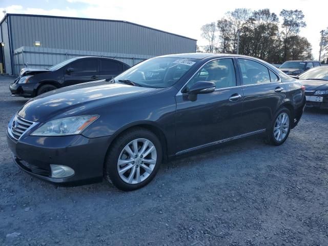 2010 Lexus ES 350