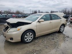 Toyota Camry salvage cars for sale: 2011 Toyota Camry Base