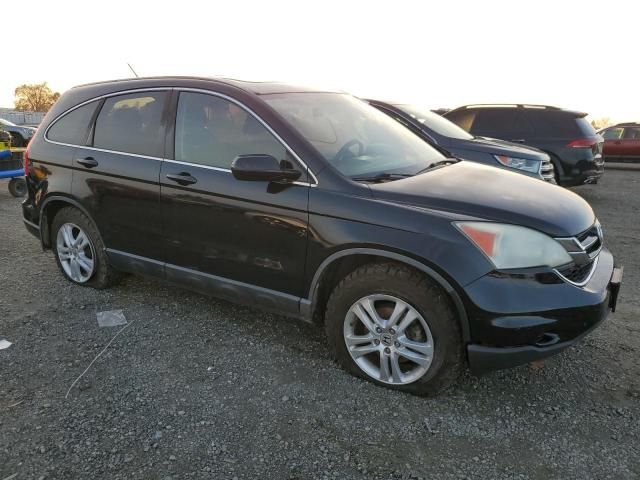 2010 Honda CR-V EXL