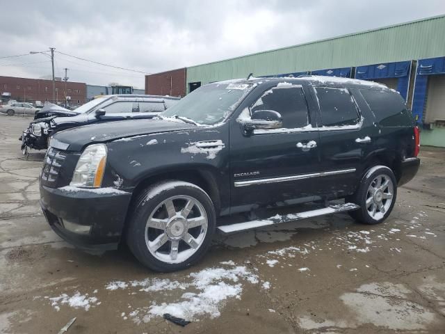 2010 Cadillac Escalade Premium