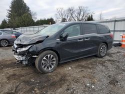 Honda Odyssey exl salvage cars for sale: 2024 Honda Odyssey EXL