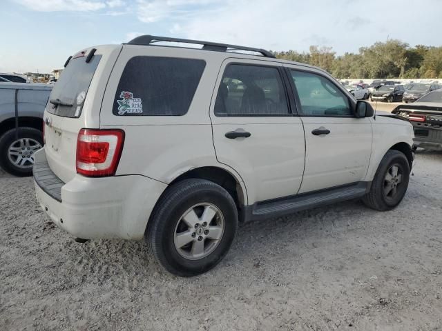 2009 Ford Escape XLT