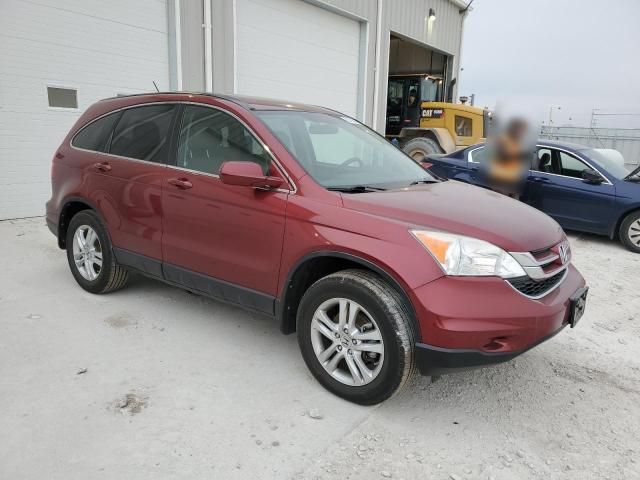 2010 Honda CR-V EXL