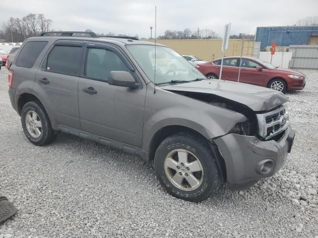 2012 Ford Escape XLT