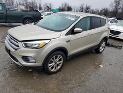 Ford Escape salvage cars for sale: 2017 Ford Escape SE