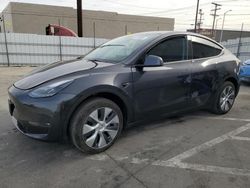 Tesla Model y Vehiculos salvage en venta: 2024 Tesla Model Y