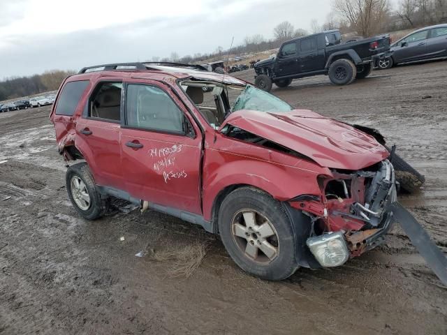 2011 Ford Escape XLT