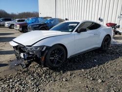 Ford Mustang salvage cars for sale: 2024 Ford Mustang