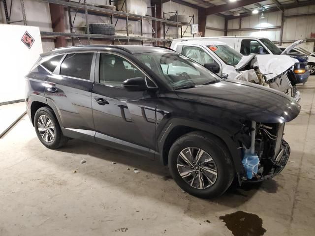 2022 Hyundai Tucson Blue