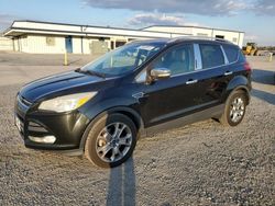 Vehiculos salvage en venta de Copart Lumberton, NC: 2015 Ford Escape Titanium