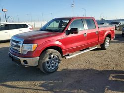 2013 Ford F150 Supercrew for sale in Greenwood, NE