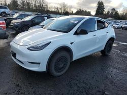 Salvage cars for sale from Copart Portland, OR: 2020 Tesla Model Y