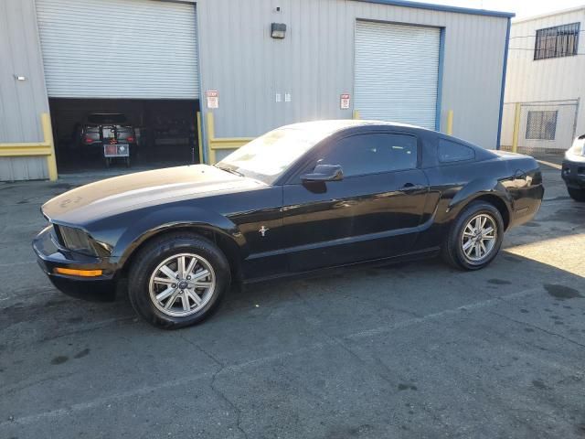 2006 Ford Mustang