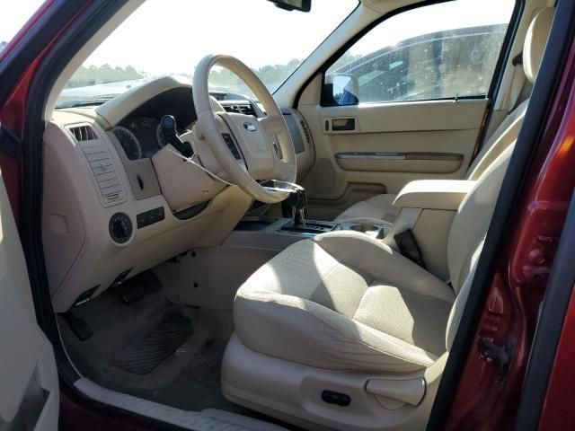 2008 Ford Escape XLT