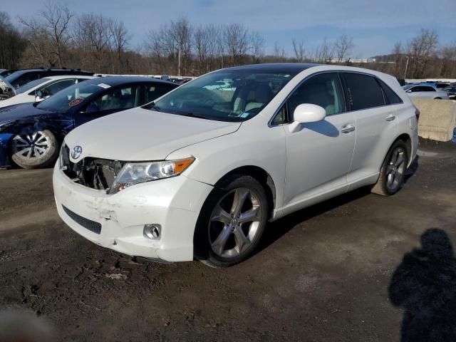 2009 Toyota Venza