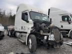 2019 Freightliner Cascadia 126