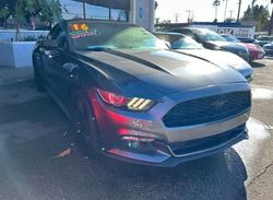 Vehiculos salvage en venta de Copart Rancho Cucamonga, CA: 2016 Ford Mustang