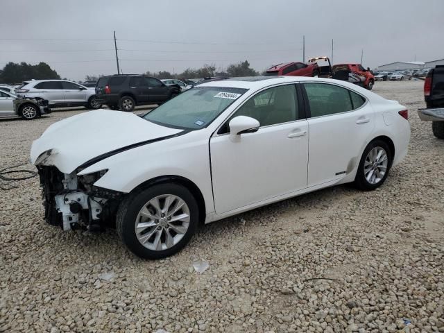 2013 Lexus ES 300H