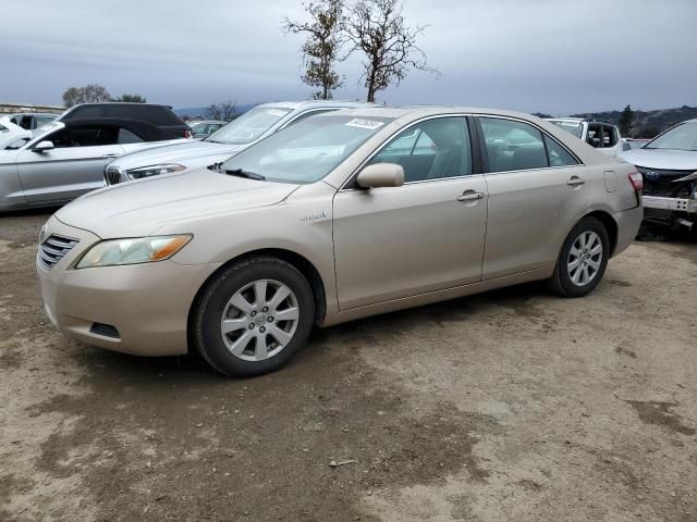 2008 Toyota Camry Hybrid