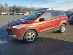 Salvage cars for sale from Copart York Haven, PA: 2016 Ford Escape SE