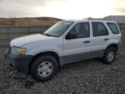 Ford Escape salvage cars for sale: 2007 Ford Escape XLS