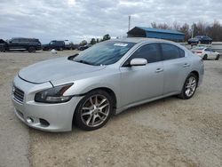 Nissan salvage cars for sale: 2009 Nissan Maxima S