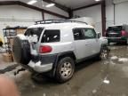 2007 Toyota FJ Cruiser