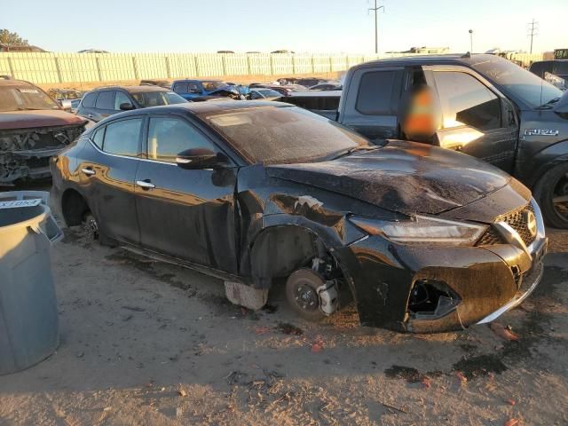 2023 Nissan Maxima SV