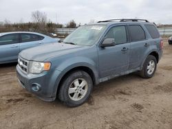 Ford Vehiculos salvage en venta: 2010 Ford Escape XLT