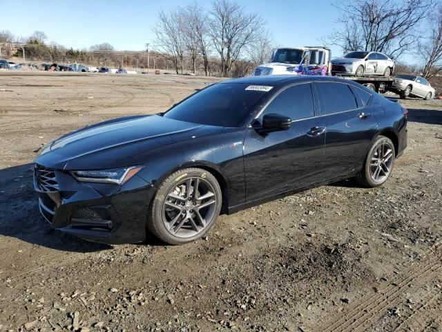 2024 Acura TLX A-Spec