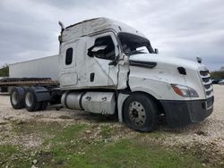 Freightliner Cascadia 126 salvage cars for sale: 2019 Freightliner Cascadia 126