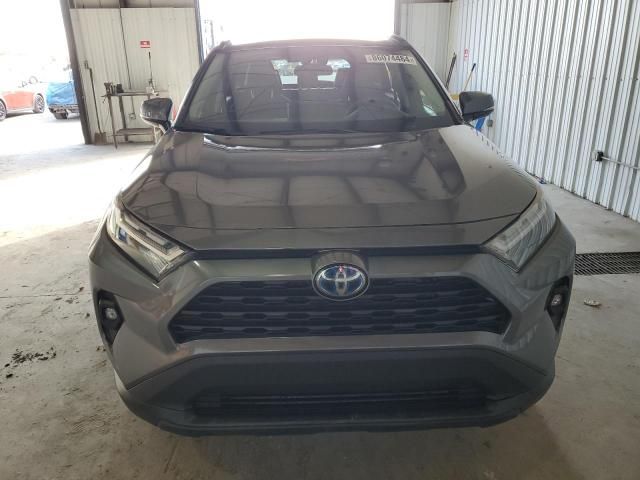 2024 Toyota Rav4 XLE Premium