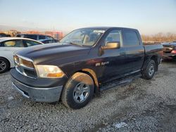 Dodge ram 1500 salvage cars for sale: 2010 Dodge RAM 1500