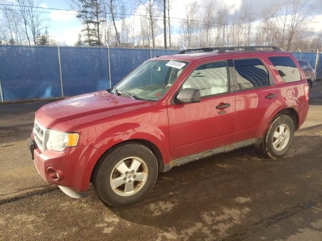 2011 Ford Escape XLT