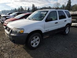 Ford salvage cars for sale: 2006 Ford Escape HEV