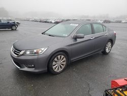 Honda Accord salvage cars for sale: 2013 Honda Accord EXL