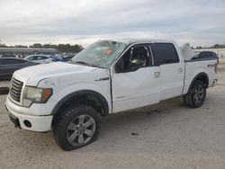 2011 Ford F150 Supercrew en venta en Harleyville, SC