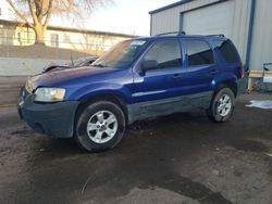 Ford Escape salvage cars for sale: 2006 Ford Escape XLT