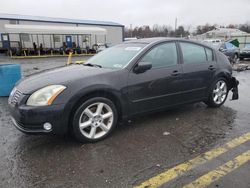 Nissan Maxima salvage cars for sale: 2005 Nissan Maxima SE