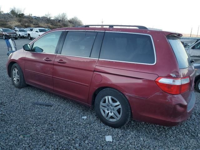 2005 Honda Odyssey EX