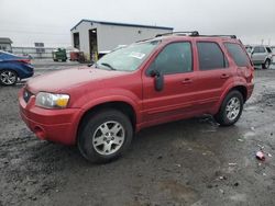 Ford salvage cars for sale: 2005 Ford Escape Limited