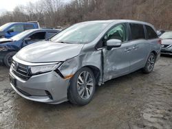 Honda Odyssey salvage cars for sale: 2023 Honda Odyssey Touring