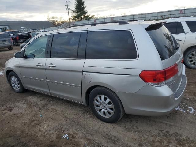 2008 Honda Odyssey EXL