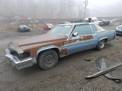 Cadillac salvage cars for sale: 1979 Cadillac Deville