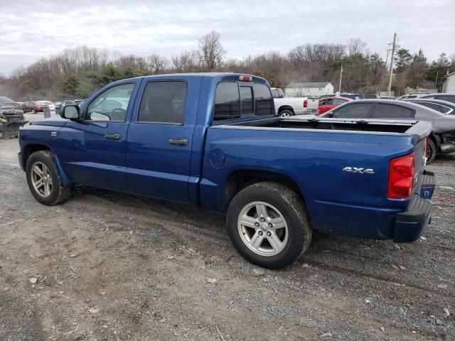 2009 Dodge Dakota SXT