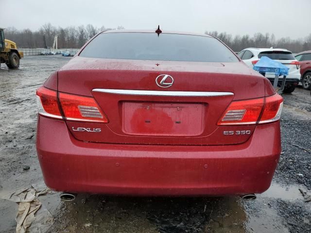 2010 Lexus ES 350