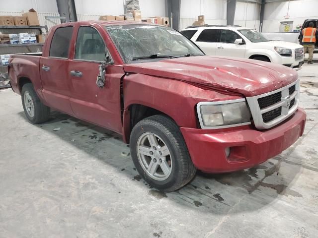 2010 Dodge Dakota SXT