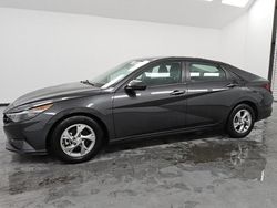 Hyundai Elantra salvage cars for sale: 2021 Hyundai Elantra SE