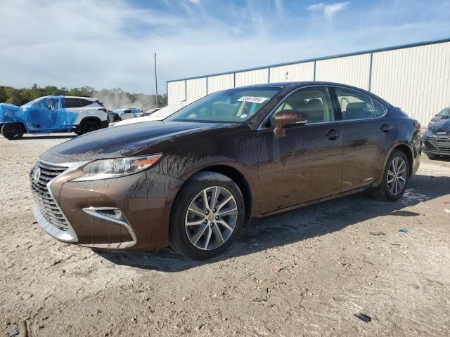 2016 Lexus ES 300H