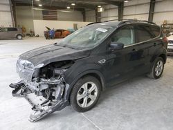 Ford Escape salvage cars for sale: 2013 Ford Escape SE